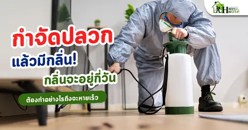 กำจัดปลวกแล้วมีกลิ่น! กลิ่นจะอยู่กี่วัน ต้องทำอย่างไรถึงจะหายเร็ว