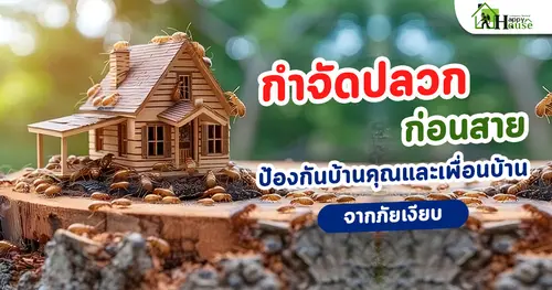 กำจัดปลวกก่อนสาย ป้องกันบ้านคุณและเพื่อนบ้านจากภัยเงียบ