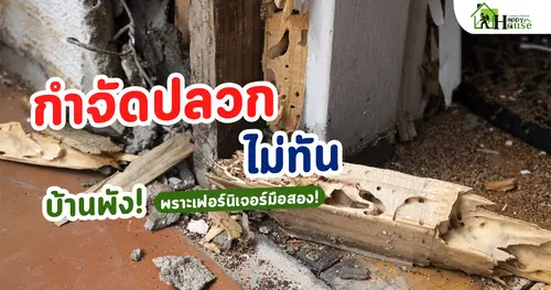 กำจัดปลวกไม่ทัน บ้านพังเพราะเฟอร์นิเจอร์มือสอง!