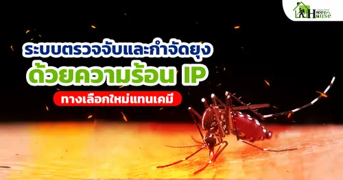 ระบบตรวจจับและกำจัดยุงด้วยความร้อน IP ทางเลือกใหม่แทนเคมี