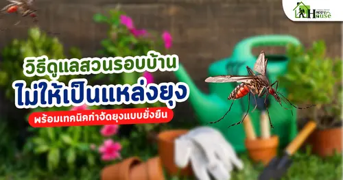 วิธีดูแลสวนรอบบ้านไม่ให้เป็นแหล่งยุง พร้อมเทคนิคกำจัดยุงแบบยั่งยืน