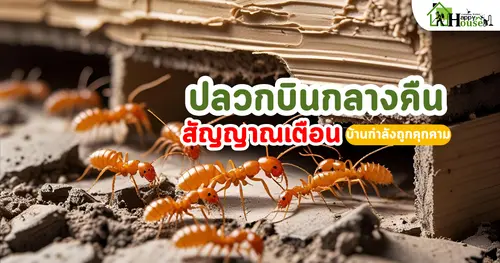 กำจัดปลวก ปลวกบินกลางคืนคือสัญญาณเตือนบ้านกำลังถูกคุกคาม