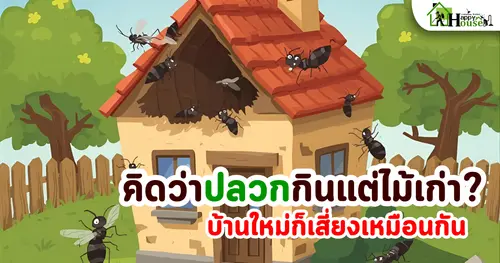 คิดว่าปลวกกินแต่ไม้เก่า? บ้านใหม่ก็เสี่ยงเหมือนกัน