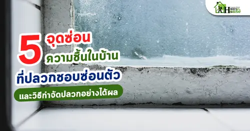 5 จุดซ่อนความชื้นในบ้านที่ปลวกชอบซ่อนตัว และวิธีกำจัดปลวกอย่างได้ผล