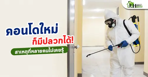 คอนโดใหม่ก็มีปลวกได้! สาเหตุที่หลายคนไม่เคยรู้