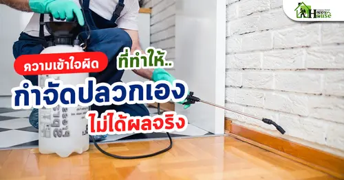 ความเข้าใจผิดที่ทำให้กำจัดปลวกเองไม่ได้ผลจริง