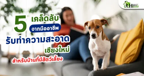 5 เคล็ดลับจากมืออาชีพรับทำความสะอาดเชียงใหม่ สำหรับบ้านที่มีสัตว์เลี้ยง