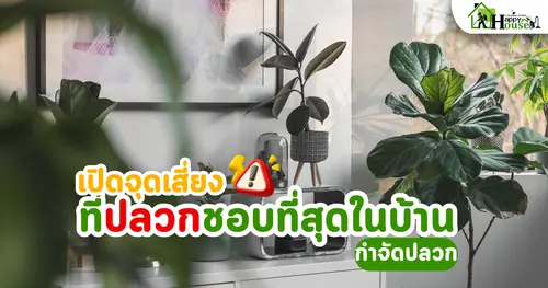 จุดที่ปลวกชอบที่สุดในบ้าน และมักไม่มีใครตรวจ | กำจัดปลวก