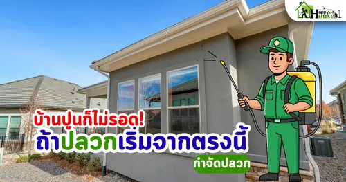 บ้านปูนก็ไม่รอด ถ้าปลวกเริ่มจากตรงนี้ | กำจัดปลวกเชียงใหม่