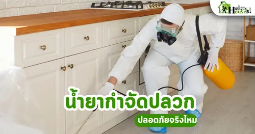 น้ำยากำจัดปลวก ปลอดภัยจริงไหม | รู้ก่อนตัดสินใจ กำจัดปลวก