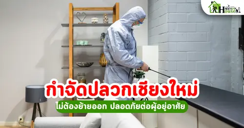 กำจัดปลวกเชียงใหม่ ไม่ต้องย้ายออก ปลอดภัยต่อผู้อยู่อาศัย เหมาะกับบ้านเชียงใหม่