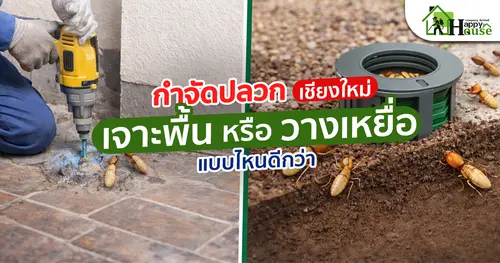 กำจัดปลวกเชียงใหม่ เจาะพื้นหรือวางเหยื่อ แบบไหนดีกว่า
