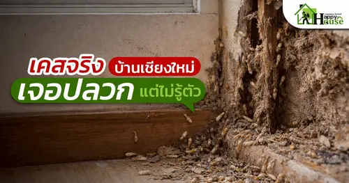 เคสจริง บ้านเชียงใหม่เจอปลวกแต่ไม่รู้ตัว สัญญาณอันตรายที่เจ้าของบ้านมองข้าม