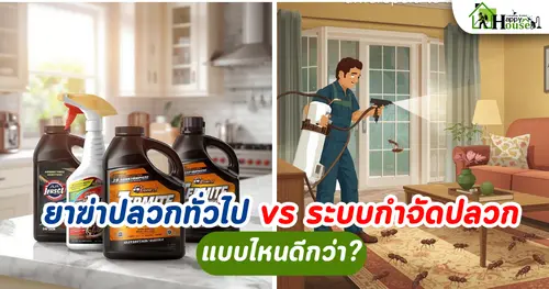 ยาฆ่าปลวกทั่วไป vs ระบบกำจัดปลวก | กำจัดปลวกเชียงใหม่ แบบไหนดีกว่า?