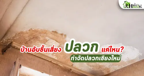 บ้านอับชื้นเสี่ยงปลวกแค่ไหน