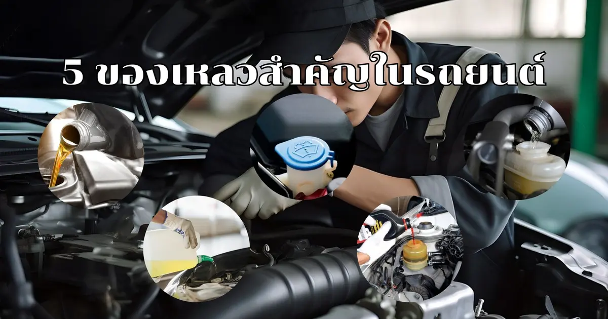 5 ของเหลวสำคัญในรถยนต์