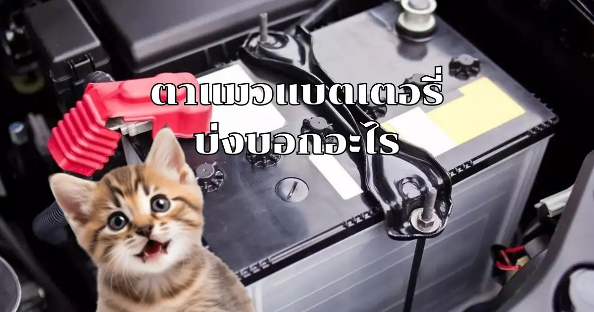 ตาแมวแบตเตอรี่บ่งบอกอะไร