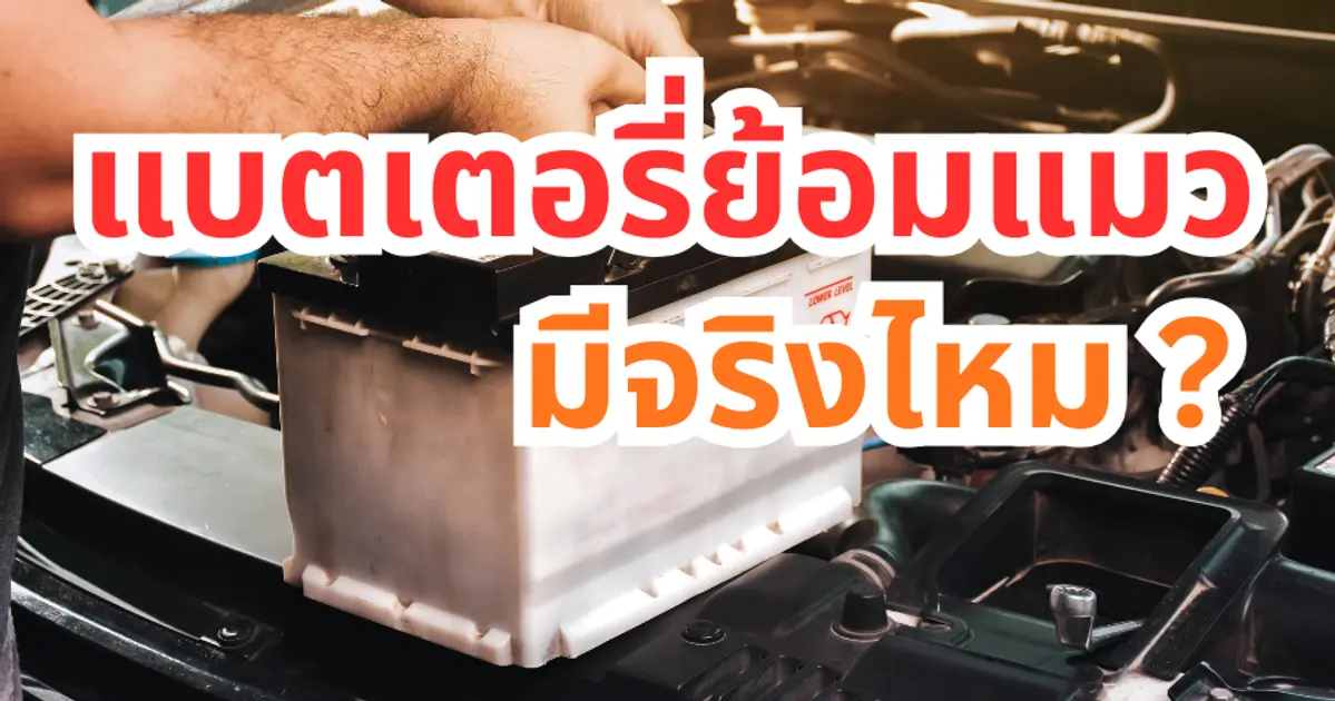 แบตเตอรี่ย้อมแมวมีจริงไหม? วิธีเช็กก่อนซื้อ | รวมโชคแบตเตอรี่เชียงใหม่