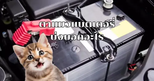 ตาแมวแบตเตอรี่บ่งบอกอะไร