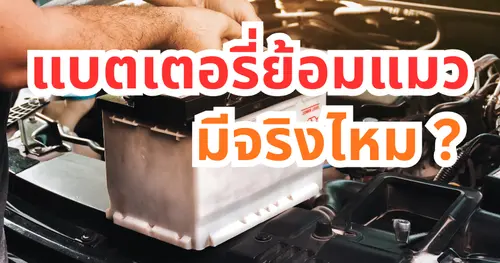 แบตเตอรี่ย้อมแมวมีจริงไหม? วิธีเช็กก่อนซื้อ | รวมโชคแบตเตอรี่เชียงใหม่