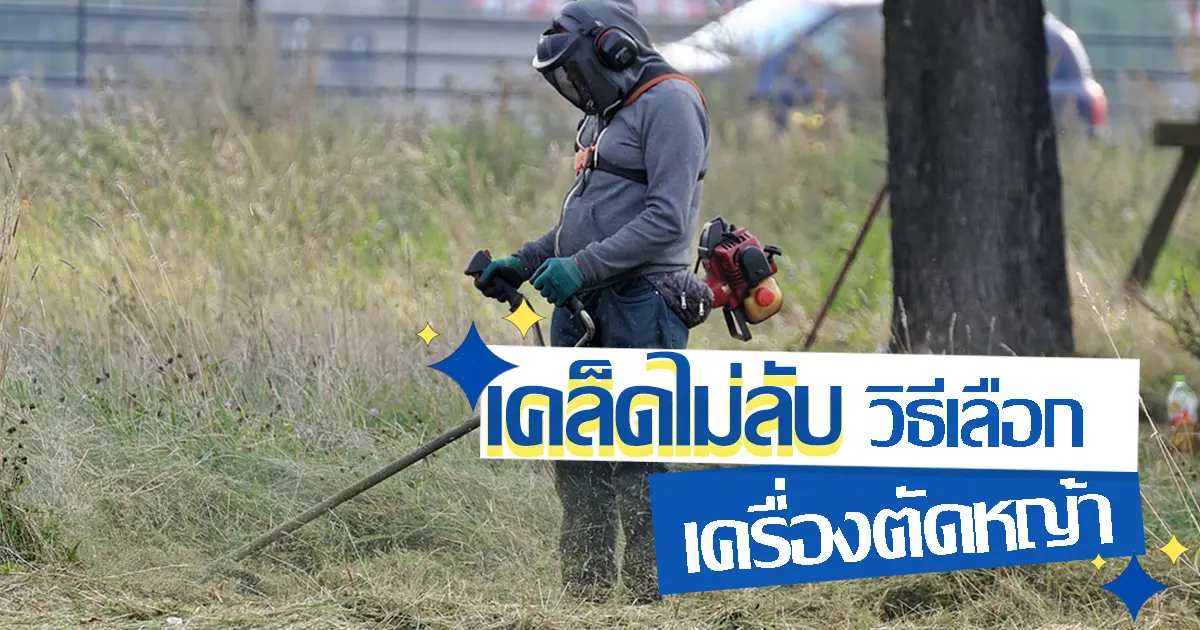 เคล็ดไม่ลับ วิธีเลือกเครื่องตัดหญ้า เคล็ดไม่ลับ วิธีเลือกเครื่องตัดหญ้า