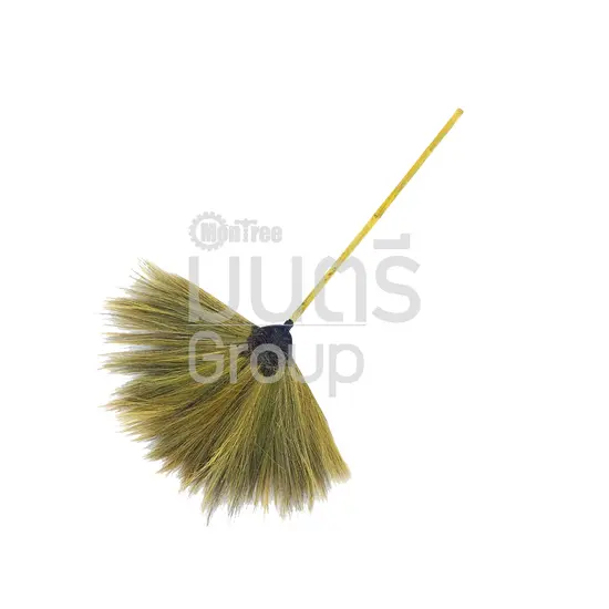 ไม้กวาด อ่อน