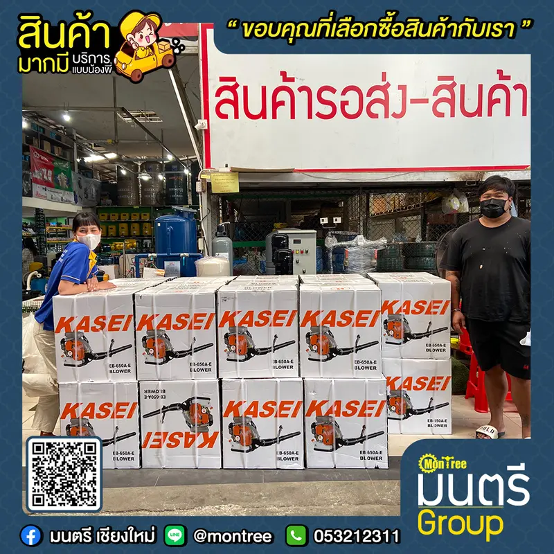 เป่าใบไม้ KASEI EB-500E