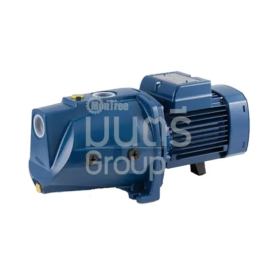 ปั๊มน้ำเซฟไพมิง 1HP 1" PEDROLLO JSWM10M2C/10H