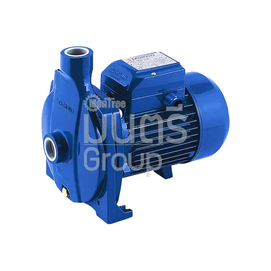 ปั๊มน้ำพัดใหญ่ 0.5 HP 1" PEDROLLO CPM 130