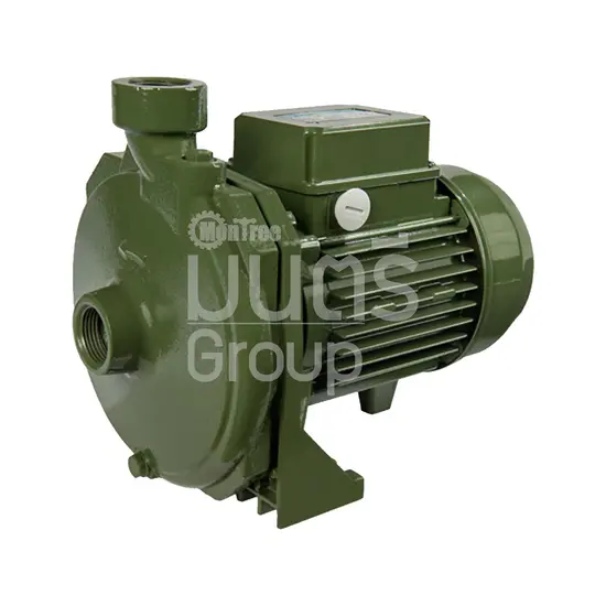 ปั๊มน้ำพัดใหญ่ 1 HP 1" SAER CMP-79