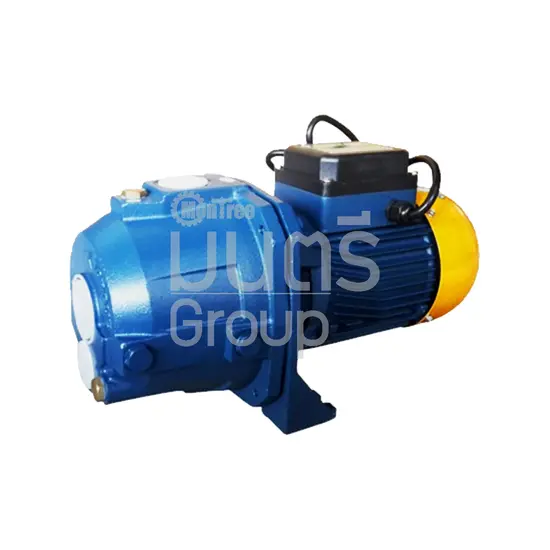 ปั๊มน้ำลึกหอยโข่ง 1 HP TORQUE TQ-WP-TP100