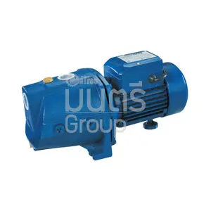 ปั๊มน้ำเซฟไพมิง 1HP 1" LUCKYPRO MJ-100LB