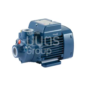 ปั๊มน้ำพัดเล็ก 0.5 HP 1" PEDROLLO PKM 60