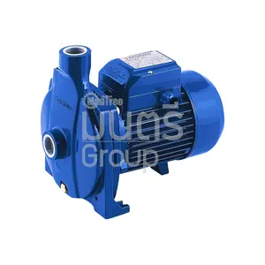 ปั๊มน้ำพัดใหญ่ 0.5 HP 1" PEDROLLO CPM 130