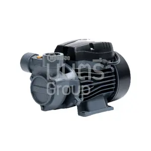 ปั๊มน้ำพัดเล็ก 0.5 HP 1" SUMOTO QPM60-1