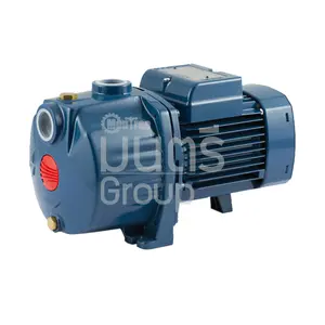 ปั๊มน้ำส่งสูง 0.6 HP 1" PEDROLLO 3CPM 80 3ใบพัด