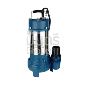 ปั๊มแช่ดูดโคลน 2" TORQUE DS750-50 ไม่มีลูกลอย