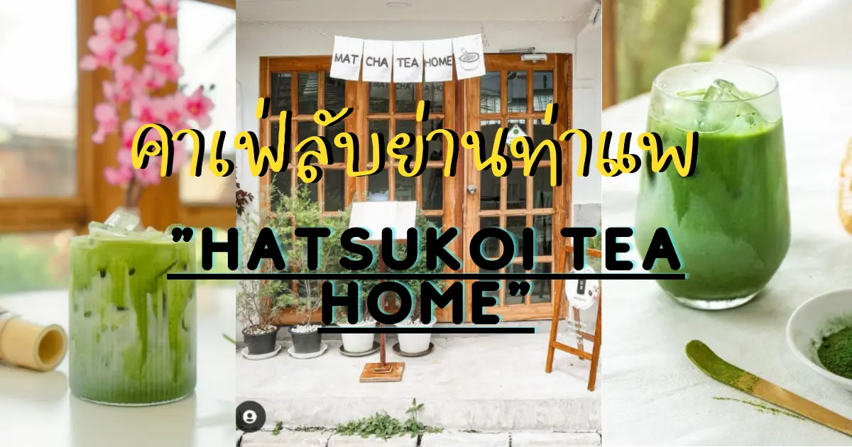 รีวิว Hatsukoi tea home คาเฟ่ลับย่านท่าแพ เชียงใหม่ คาเฟ่สไตล์ญี่ปุ่นฟิวชัน ที่ไม่ได้มีดีแค่ชาเขียว