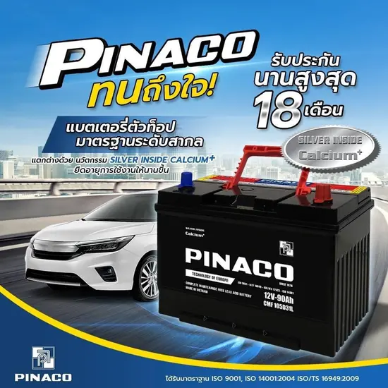 Pinaco CMF 75D31