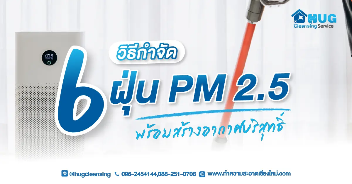 6 วิธี กำจัดฝุ่น PM 2.5 ภายในบ้าน ง่าย ๆ พร้อมสร้างอากาศบริสุทธิ์