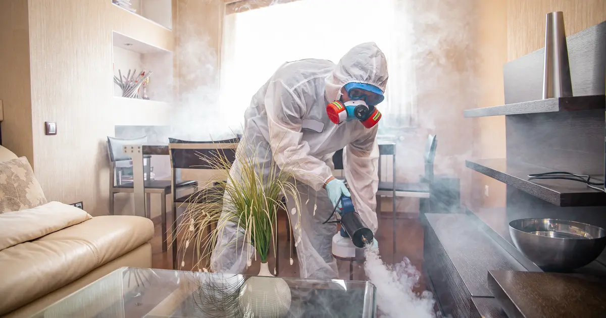 บริการดูดไรฝุ่น จำเป็นแค่ไหน? ผลต่อภูมิแพ้ ผิวหนัง และการนอนหลับ