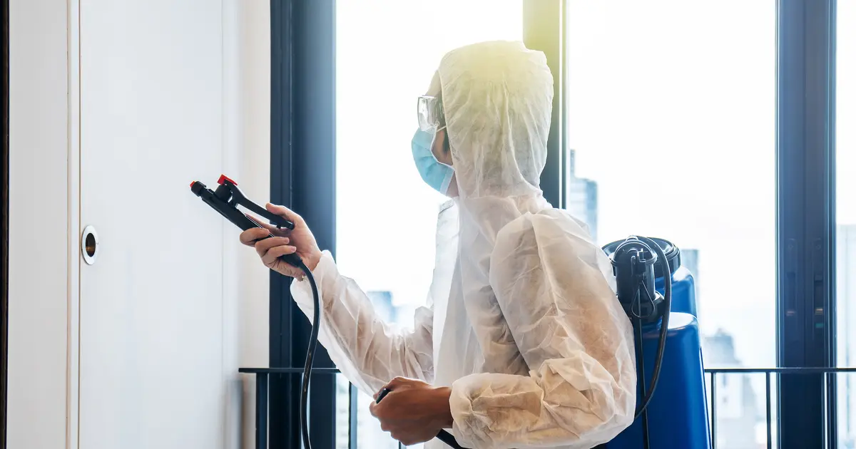 บริการดูดไรฝุ่น จำเป็นแค่ไหน? ผลต่อผิวหนังและสุขภาพการนอน