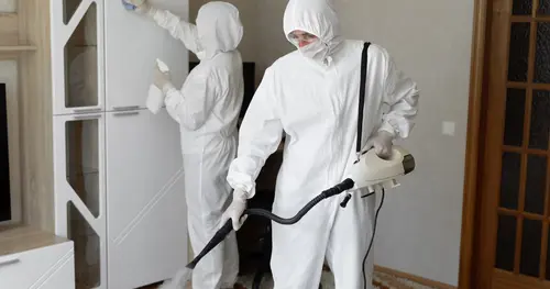 บริการอบโอโซน ฆ่าเชื้อ–ดับกลิ่น ทำงานยังไง ปลอดภัยไหม?