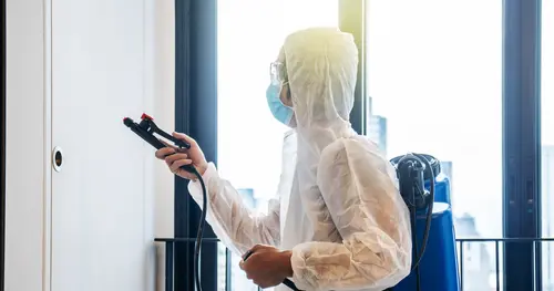 บริการดูดไรฝุ่น จำเป็นแค่ไหน? ผลต่อผิวหนังและสุขภาพการนอน