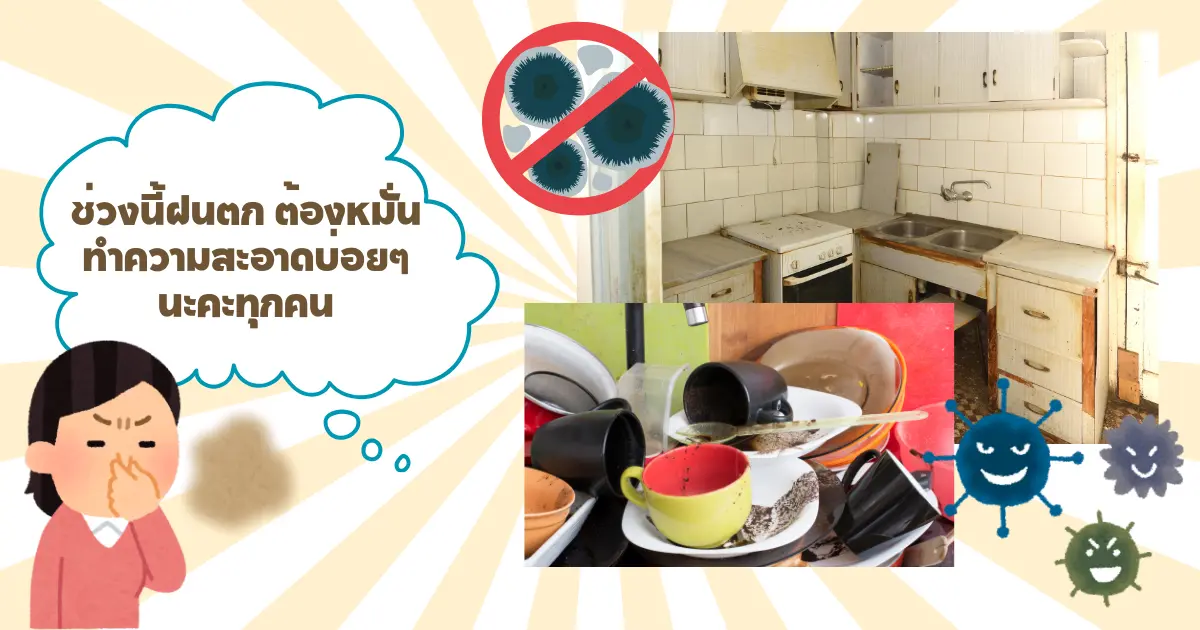 ทำความสะอาดบ้านหน้าฝนเพื่อช่วยขจัดกลิ่นอับภายในบ้าน