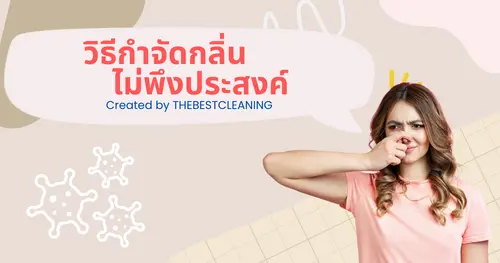 วิธีการกำจัดกลิ่นไม่พึงประสงค์ในบ้านด้วยวิธีที่มีประสิทธิภาพ