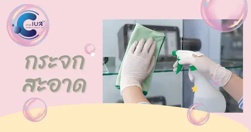 เรามาดูประโยชน์ของการเช็ดกระจกบ้านเป็นประจำดีอย่างไร