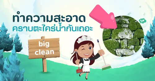 มาช่วยกันขจัดตะไคร่น้ำให้หมดจด ป้องกันลื่นล้มในหน้าฝนกันเถอะ