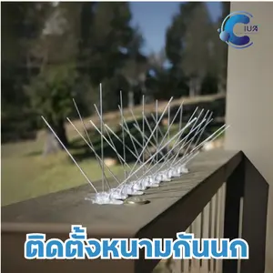 บริการติดหนามกันนกหรือตาข่ายกันนก