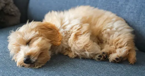 การดูแลความสะอาดและการซักโซฟา-ที่นอนให้สะอาด น่านั่ง น่านอนทุกวัน!